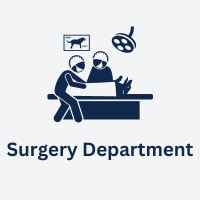 Surgery Department